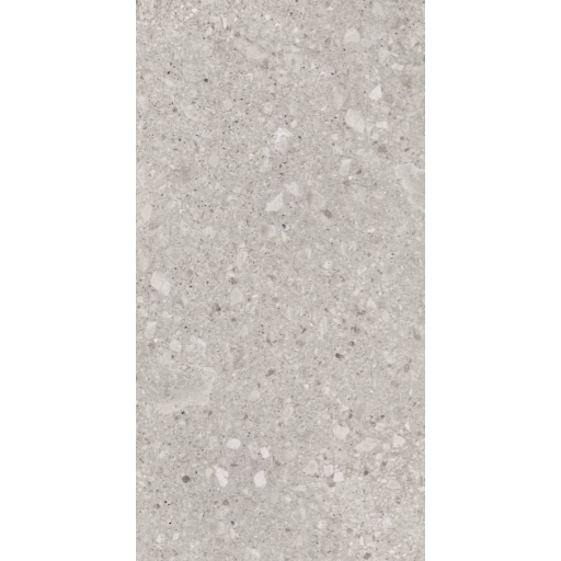 Керамогранит Lasselsberger Иней 6493-0136 60*120 серый